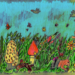 Eine Wiese mit vielen Pilzen in unterschiedlichen Formen und Farben