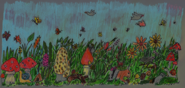 Eine gezeichnete Wiese mit grünem Gras, bunten Blumen, roten und gelben Pilzen und Kaninchen, Mäusen und Schnecken. Über der Wiese fliegen Schmetterlinge und Vögel